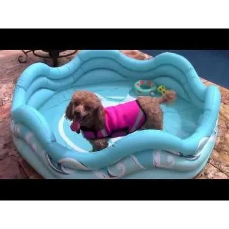 Mariner Inflatable Dog Pool